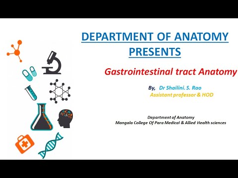 Gastrointestinal Tract Anatomy - Mangala College Of Para Medical Sciences