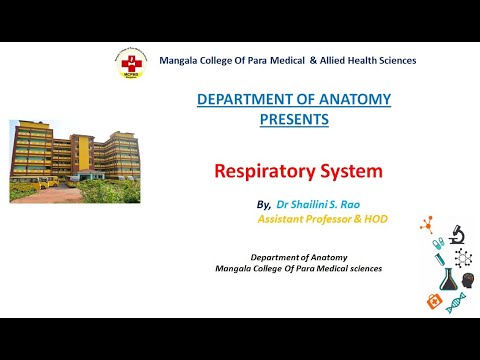 Respiratory System - Mangala College of Para Medical Sciences